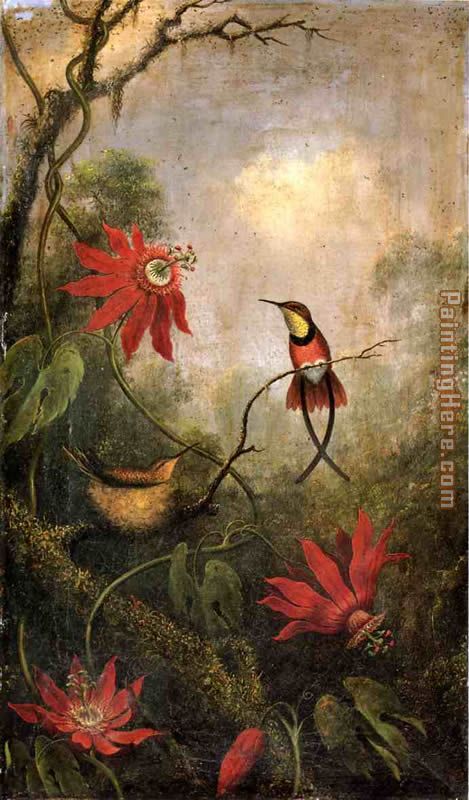 Passion Flowers and Hummingbirds 2 painting - Martin Johnson Heade Passion Flowers and Hummingbirds 2 art painting